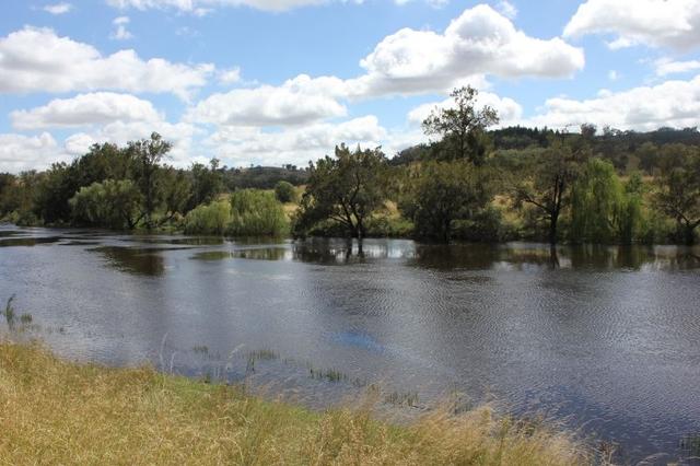 'Fernlee' 557 Pindari Dam Rd, NSW 2361