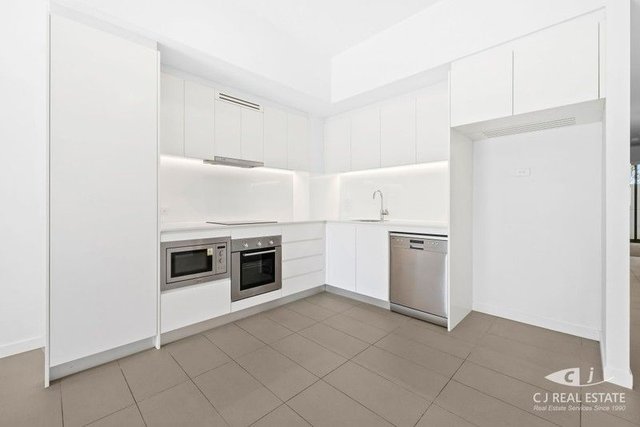 101/139 Bowden St, NSW 2114