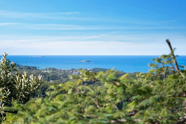 288 Bruxner Park Road, NSW 2450