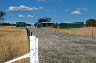 Shed Cluster