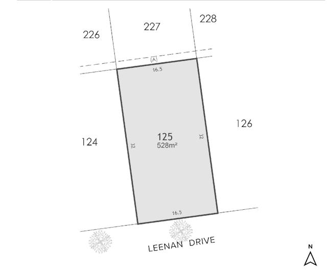 Lot 125 Leenan Drive, NSW 2322