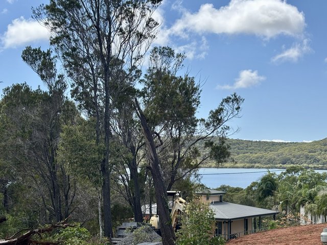 17 Opal Ct, QLD 4184