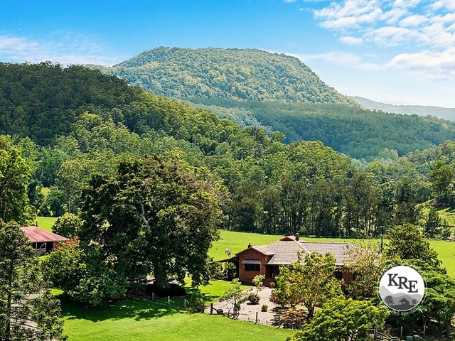 1061 Lynches Creek Road, NSW 2474