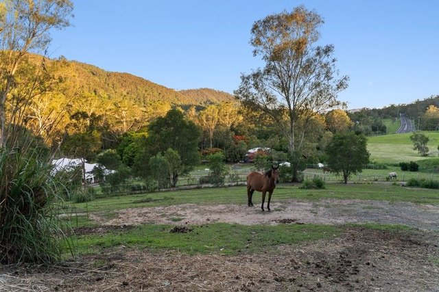 4 Coonardoo Court, QLD 4210