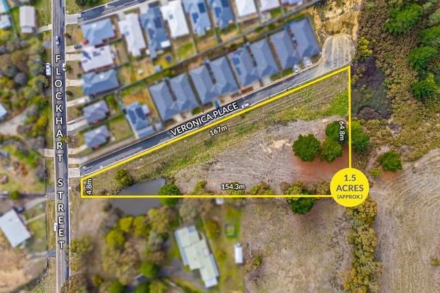 25A Flockhart Street, VIC 3350