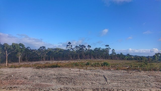 1 Bower Circuit, TAS 7316