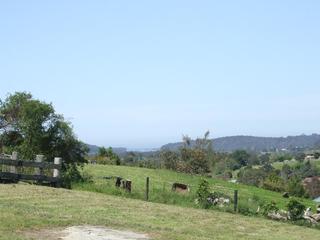 Standard Photo (2010-11-05)