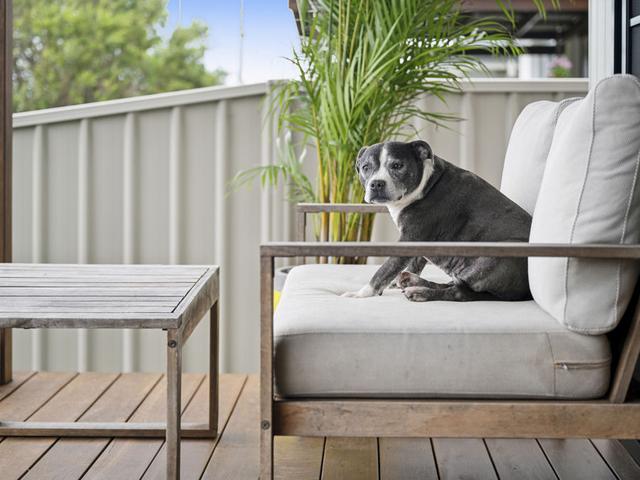 53 Elizabeth Street, NSW 2452