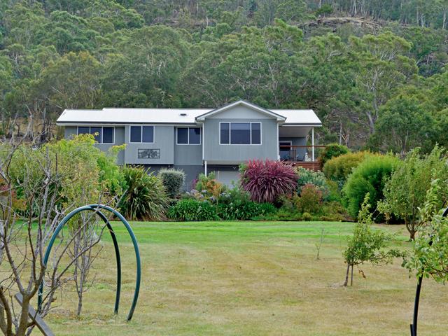 64 Saddle Road, TAS 7140