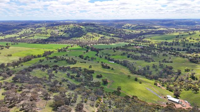 - Strathavon, WA 6566