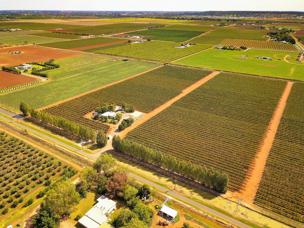 FARM205 Moseley Road, Bilbul NSW 2680 Allhomes