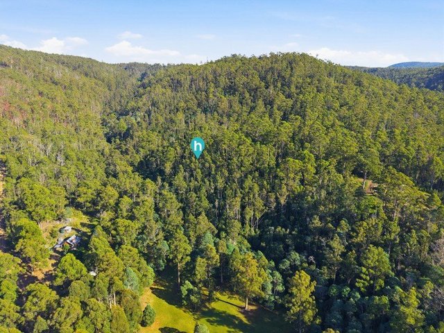 111 Underwoods Road, TAS 7112