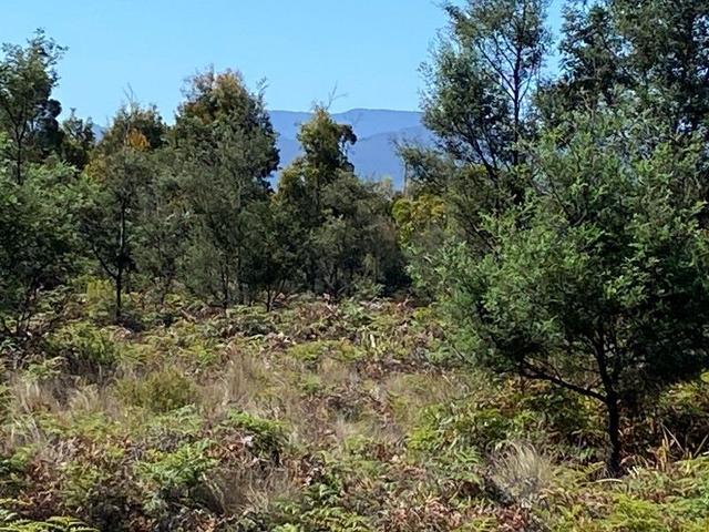 Lot 2 Wadleys Road, TAS 7304