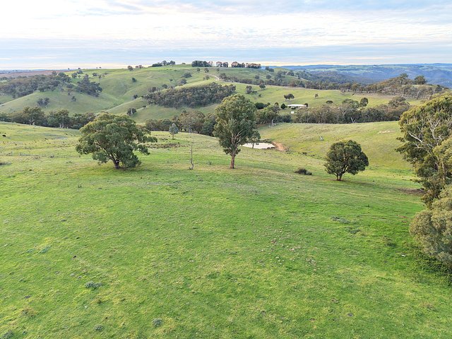 117 Savilles Road, NSW 2580