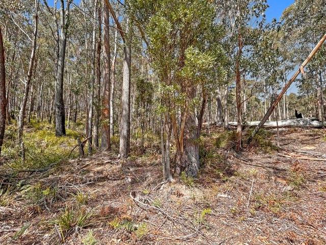 Lot 2 Nicklasons Road, TAS 7216