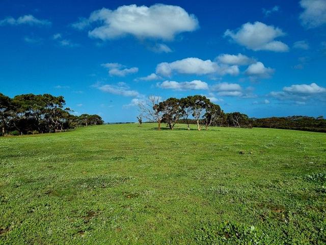 958 Crabbs Road, SA 5223