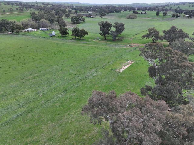 1471 & 1557 Muttama Road, NSW 2722