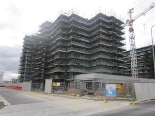 Oracle - Stage 2 (2010-06-01)