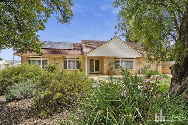 3 McMillan Street, SA 5333