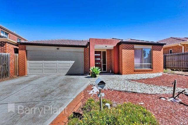 5 Newcombe Drive, VIC 3021