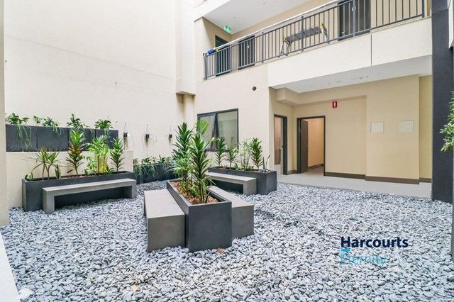 301/1 Junia Avenue, NSW 2146