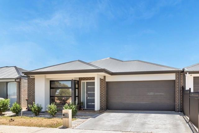 240 Petherton Road, SA 5114