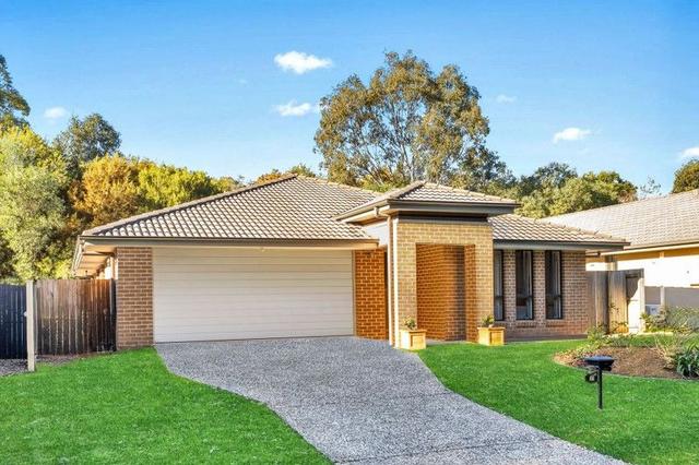 31 Pyrus Place, QLD 4165