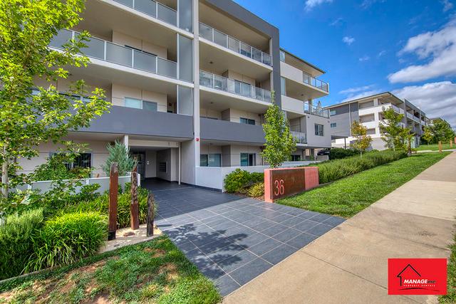 260/36 Philip Hodgins Street, ACT 2611