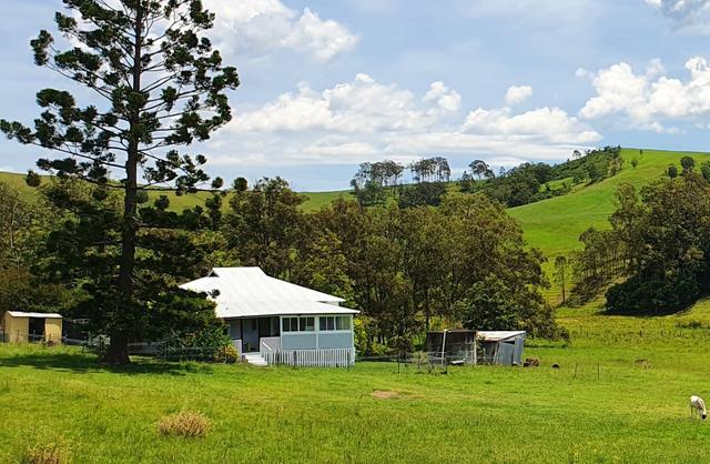 (no street name provided), NSW 2311
