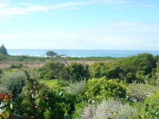 9. View (2017-07-25)