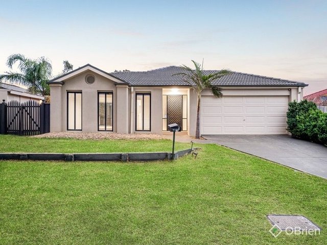 20 Sandalwood  Grove, VIC 3201