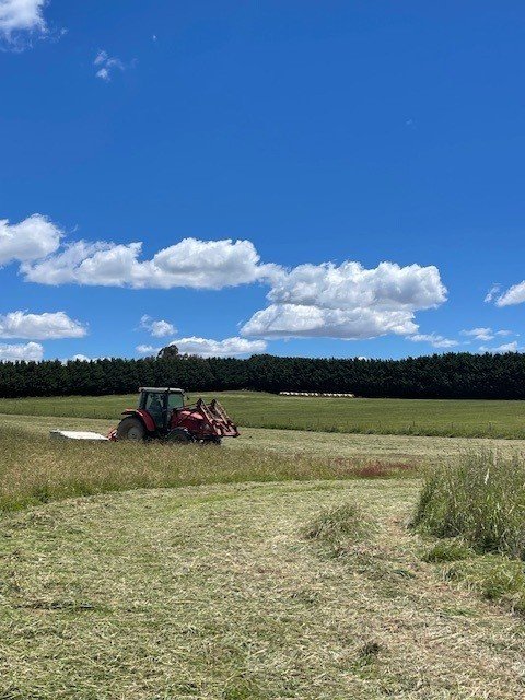 Glenerin Road, NSW 2583