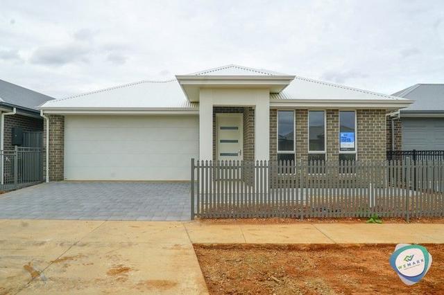 16 Boyle Street, SA 5115