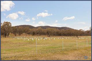 View to Mt Majura