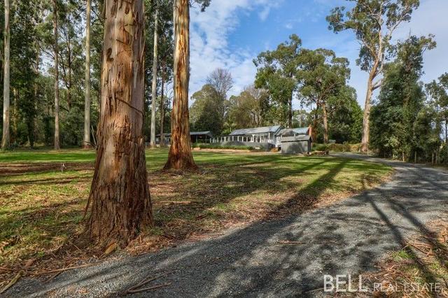 8 Lisheen Road, VIC 3781