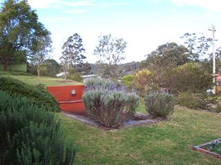 Frontyard (2005-09-02)