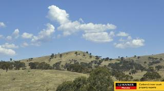 View (2005-10-05)