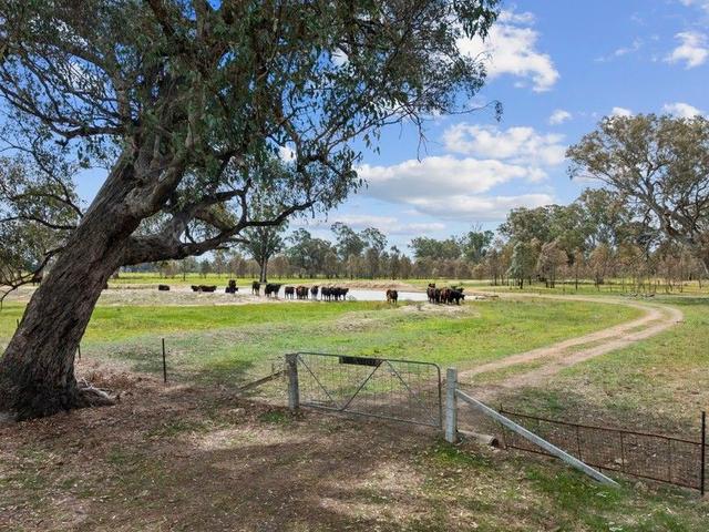 19A & 20A Balmattum North Road, VIC 3666