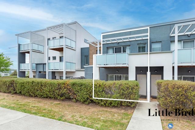 3/65 John Gorton Drive, ACT 2611