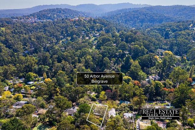 50 Arbor Avenue, VIC 3160