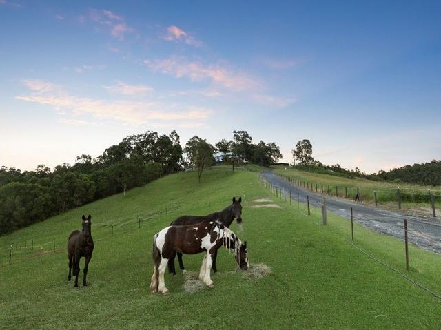 48B Bardwell Drive, QLD 4209