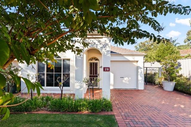 28 Moriane Avenue, SA 5041