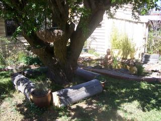Tranquility (2008-05-10)
