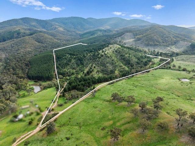 259 Hells Hole Creek Road, VIC 3720
