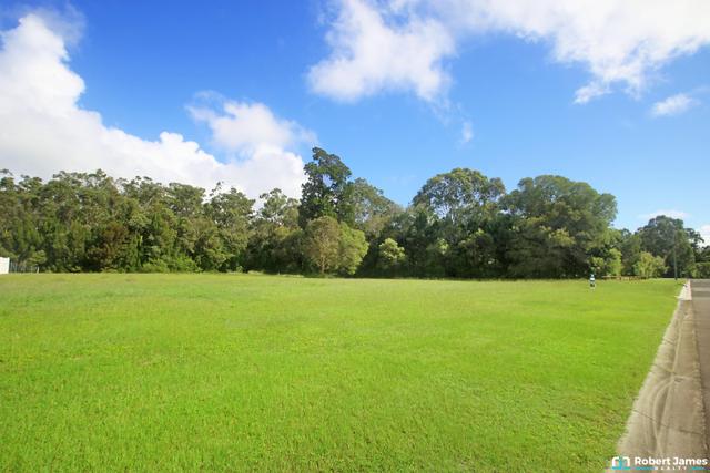 49 Livistonia Drive, QLD 4650