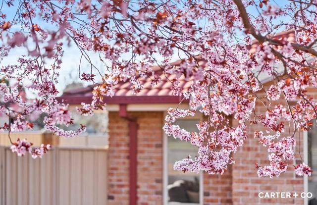 24 Gwen Meredith Loop, ACT 2913