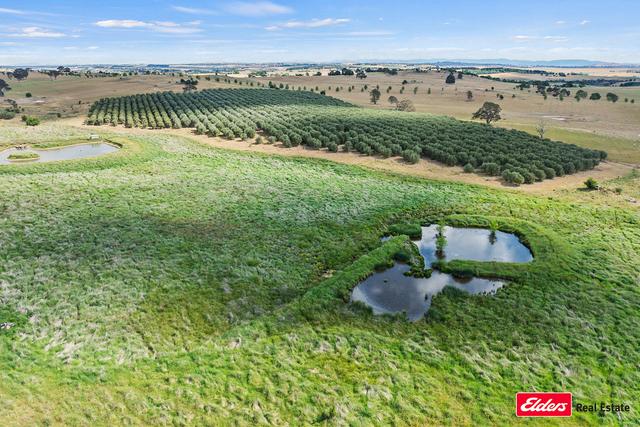 433 Hardwicke Lane, NSW 2582