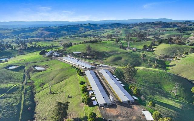 641 Mountain View-McDonalds Track, VIC 3988