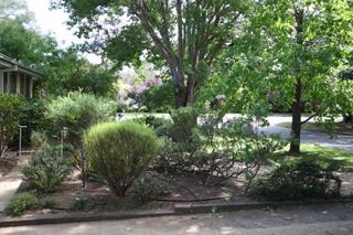 Front garden