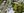 16 Wyrallah Rd, East Lismore NSW 2480, East Lismore - Thumbnail 7